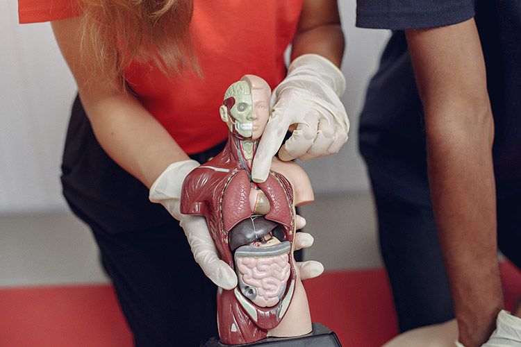 Šta je divertikulum jednjaka?