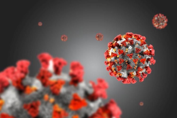 COVID-19 - Sve što trebate da znate o novom virusu