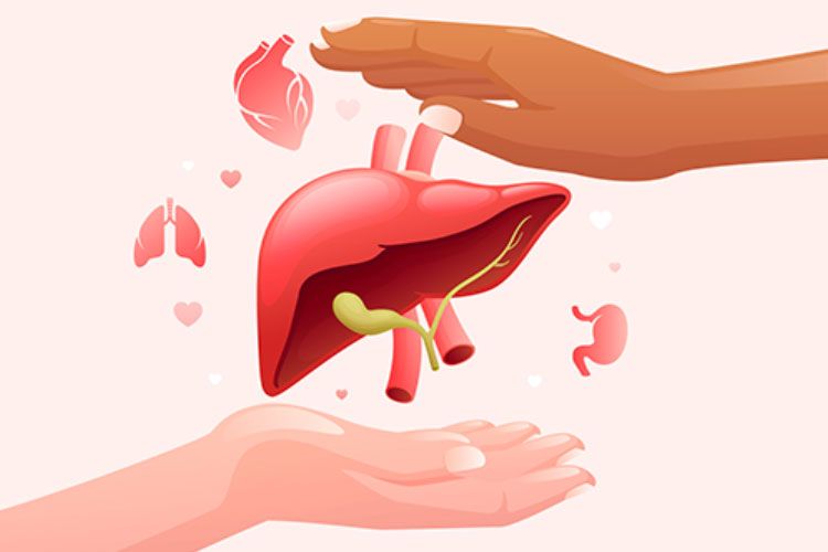 Šta je steatoza jetre?