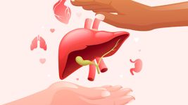 Steatoza jetre: Uzroci, simptomi i tretmani