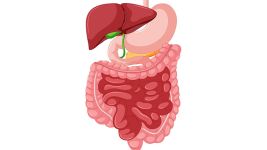 Ahalazija: Simptomi i dijagnoza