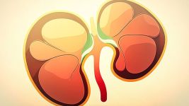 Policistični bubrezi: Uzroci i simptomi