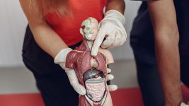 Kako prepoznati i tretirati divertikulum jednjaka?